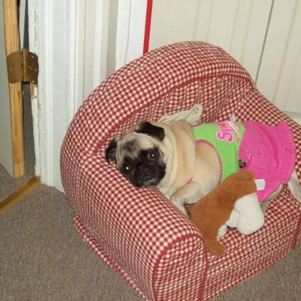 Meet your Posher, Evette